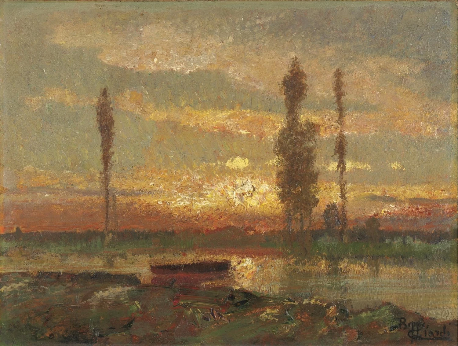 Alberi al tramonto